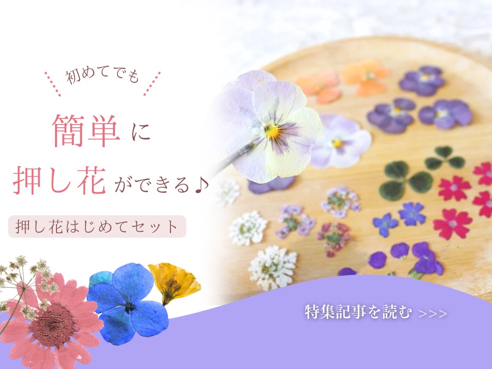 はなここ HanaCoco（はなここ）