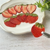 いちごの押しフルーツ制作【キット】