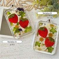 本物いちごのスライドミラー【キット】