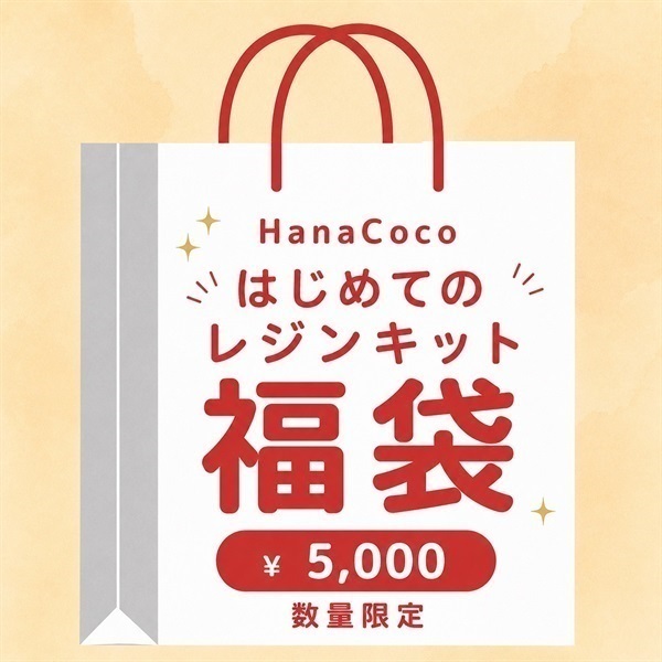 はじめてのレジンキット福袋　〈初心者向け〉
