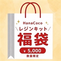 レジンキット福袋〈経験者向け〉