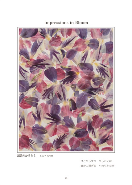 杉野宣雄 「記憶のかけら１」