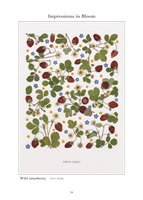 杉野宣雄 「Wild strawberry」