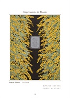 杉野宣雄 「Acacia shower」