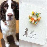 BOTANICAL BORD あしあと for pets