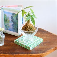 ころんと可愛い苔玉×ジュエリータイルインテリア３点セット