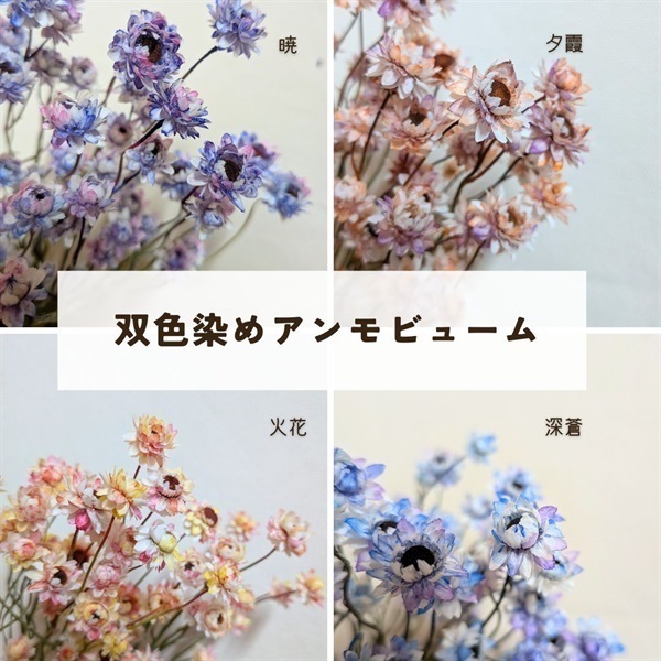 四季を映すアンモビューム 4色アソート