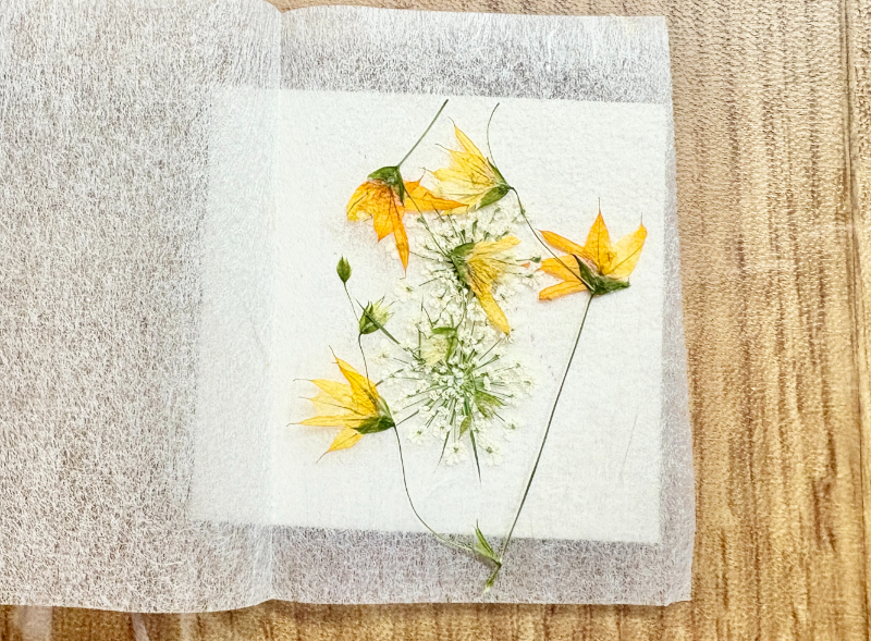 レジンで作るハンドメイドキット「幸せを運ぶピルケース」材料の押し花