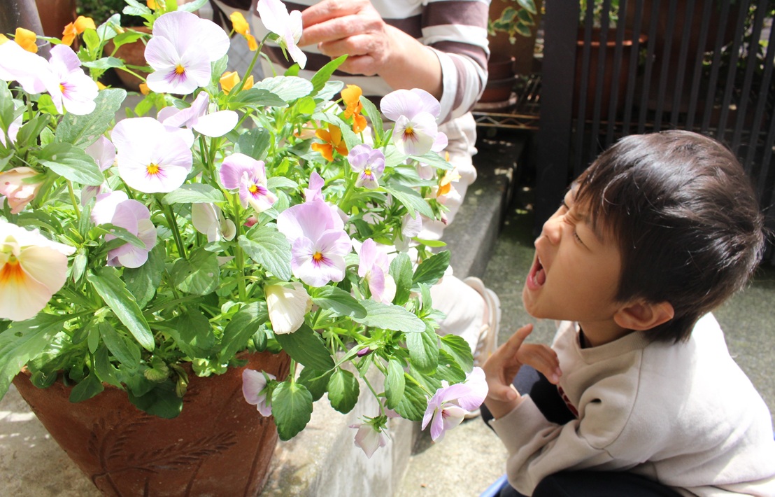 押し花作り方