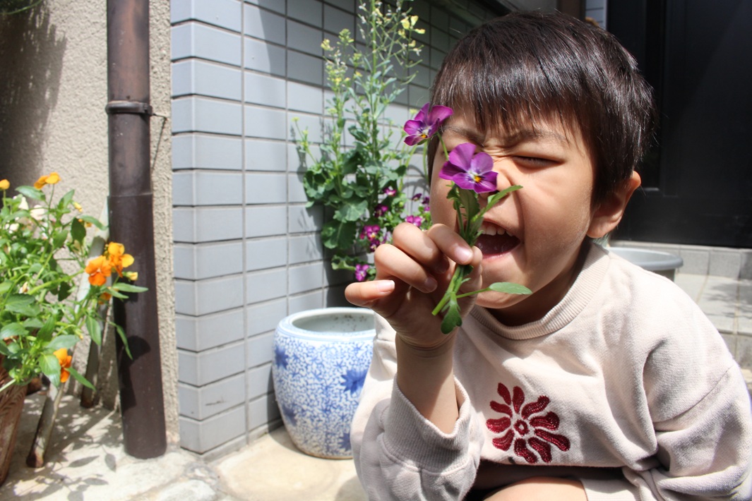 押し花作り方