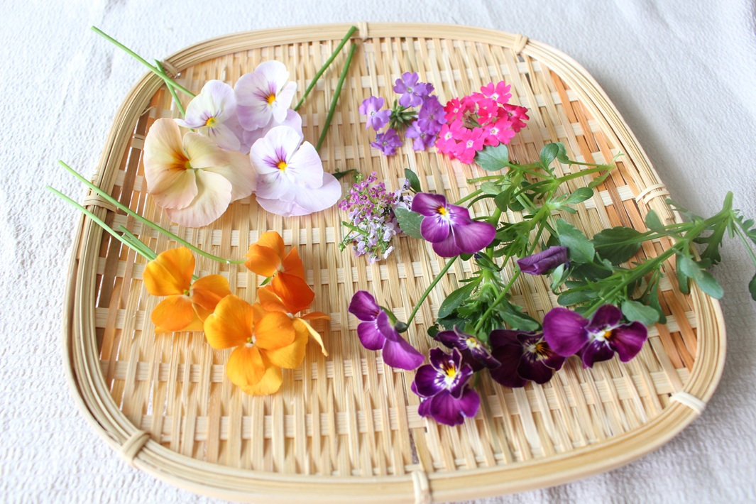 押し花作り方