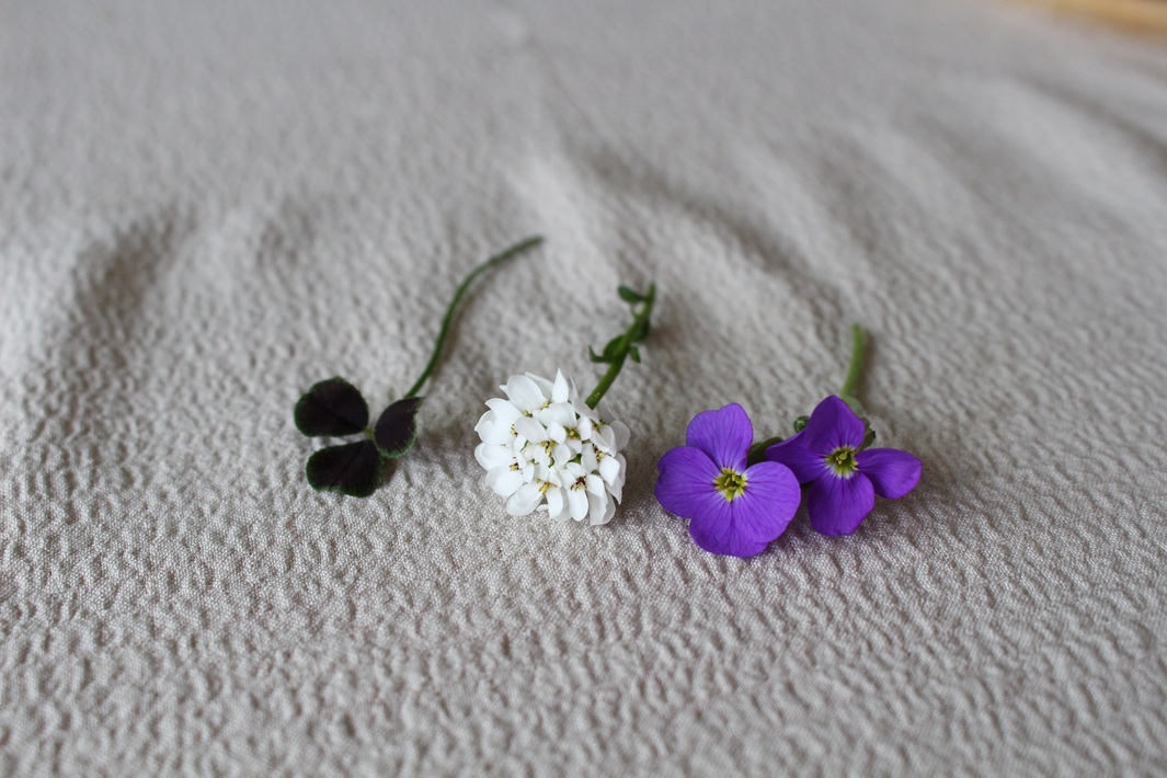 押し花作り方