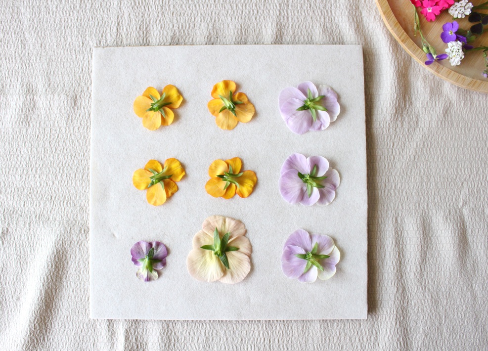 押し花作り方