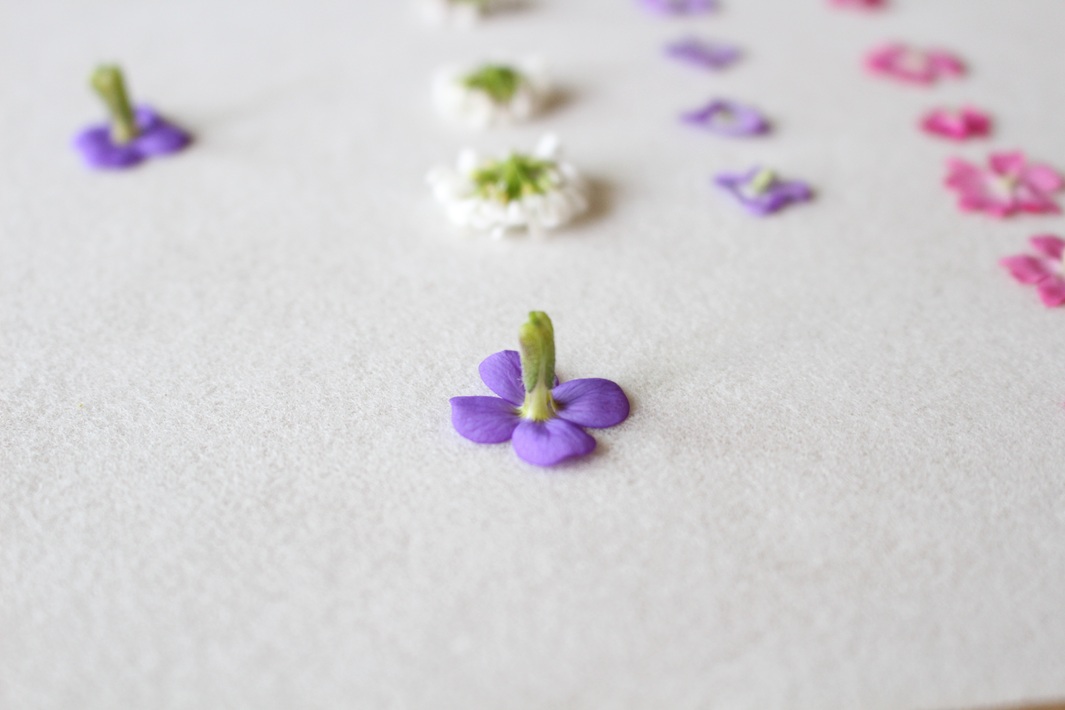 押し花作り方