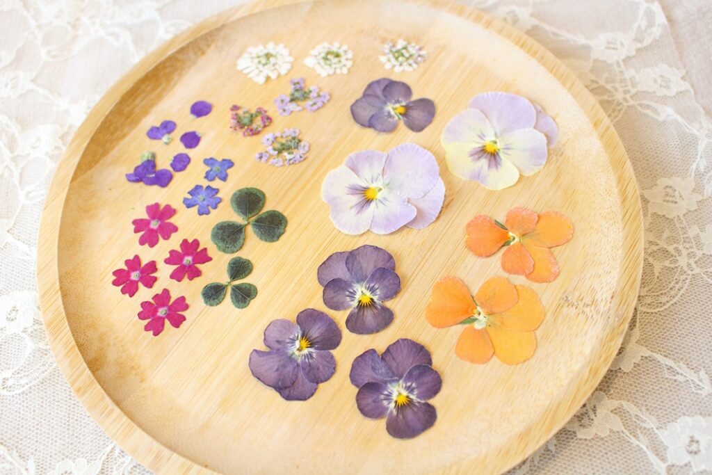 押しダンから始まる、初心者を沼らせる「押し花」づくりキット紹介