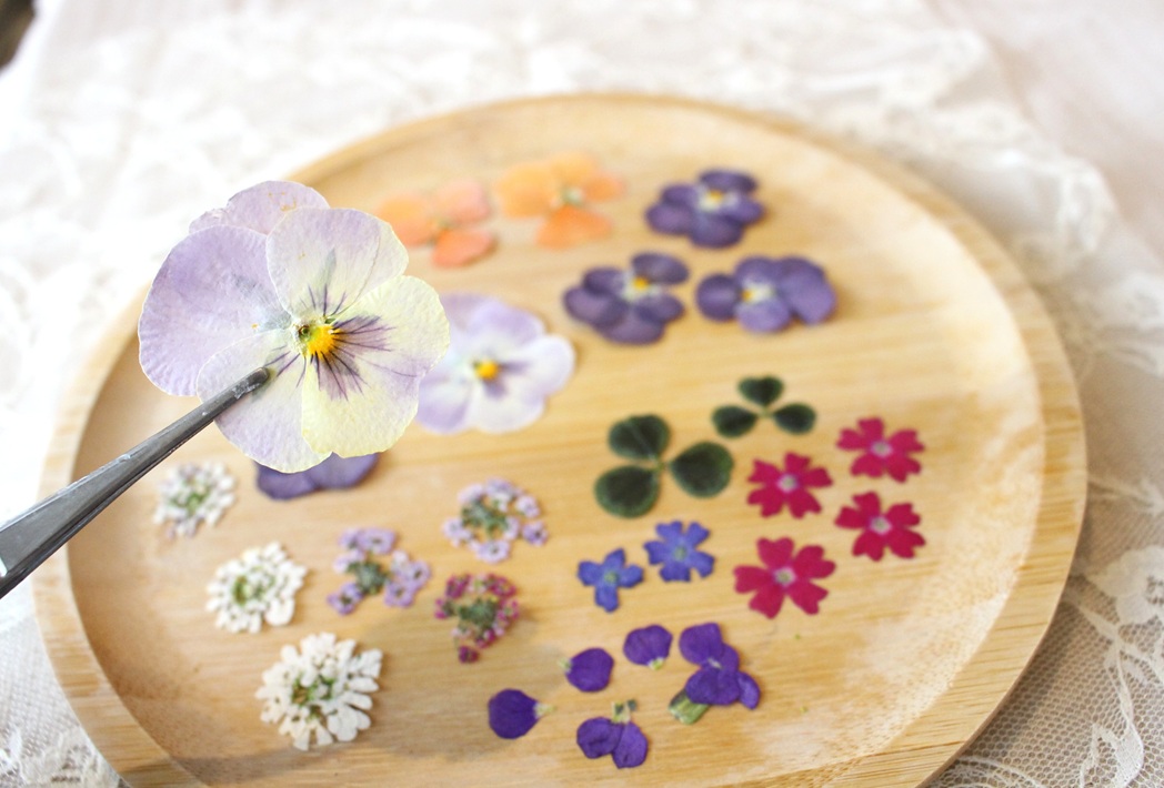 押し花作り方