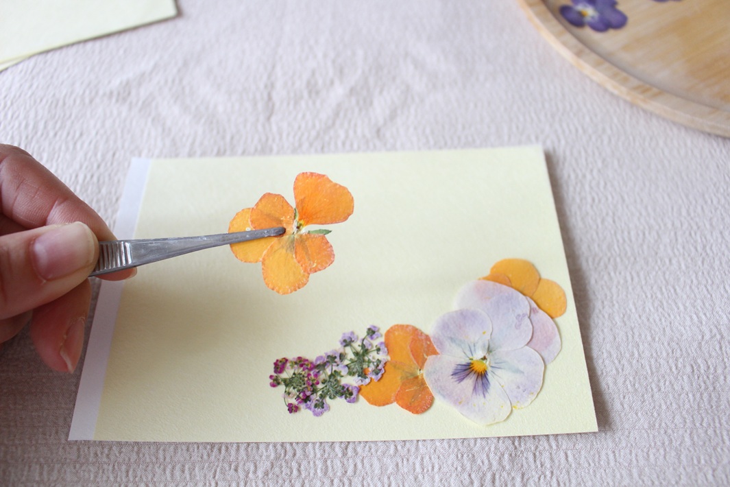 押し花作り方