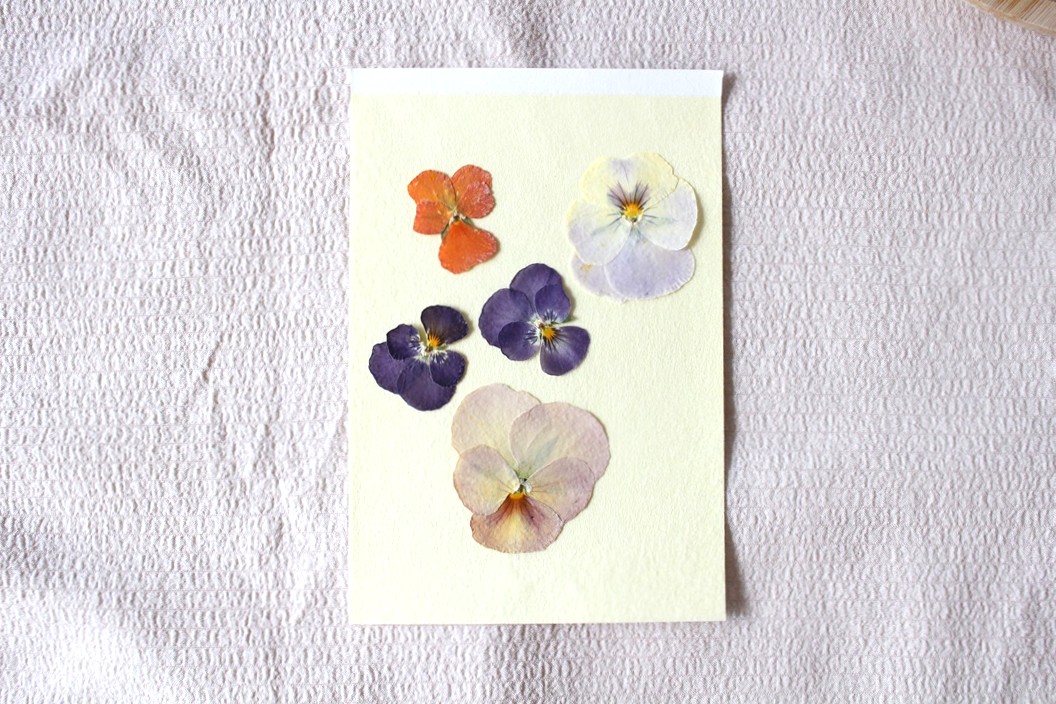 押し花作り方